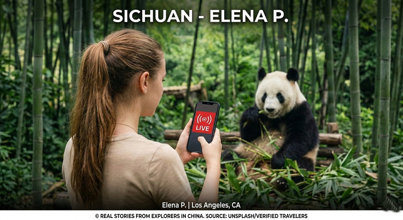 Elena P. | Los Angeles, CA